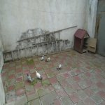 Satılır 2 otaqlı Həyət evi/villa, Həzi Aslanov metrosu, Xətai rayonu 9