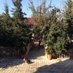 Kirayə (günlük) 7 otaqlı Həyət evi/villa, Novxanı, Abşeron rayonu 1
