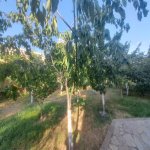 Satılır 6 otaqlı Bağ evi, Fatmayi, Abşeron rayonu 7