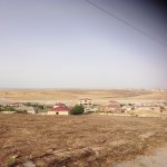 Satılır Torpaq, Fatmayi, Nazlı şadlıq sarayı, Abşeron rayonu 1