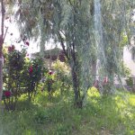Kirayə (aylıq) 5 otaqlı Bağ evi, Pirşağı qəs., Sabunçu rayonu 4