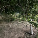 Satılır 6 otaqlı Həyət evi/villa, Buzovna, Xəzər rayonu 32