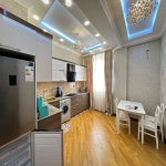 Kirayə (aylıq) 2 otaqlı Yeni Tikili, 28 May metrosu, Nəsimi rayonu 3