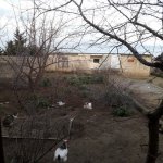 Satılır Torpaq, Mərdəkan, Xəzər rayonu 1