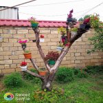 Kirayə (günlük) 4 otaqlı Həyət evi/villa Qəbələ 7
