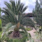 Kirayə (aylıq) 4 otaqlı Bağ evi, Fatmayi, Abşeron rayonu 12