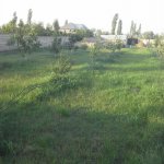 Satılır Torpaq Quba 23
