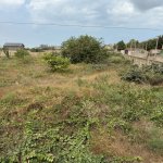 Продажа Участок, Новханы, Абшерон район 7