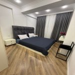 Kirayə (aylıq) 2 otaqlı Yeni Tikili, Nəriman Nərimanov metrosu, Heydər Əliyev Mərkəzi, Nərimanov rayonu 10