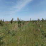 Продажа Участок Хачмаз 65