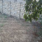 Satılır Torpaq, Masazır, Abşeron rayonu 5