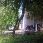Satılır 3 otaqlı Bağ evi Şamaxı 5
