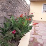 Satılır 2 otaqlı Həyət evi/villa, Zabrat qəs., Sabunçu rayonu 3
