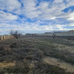 Продажа Участок, Масазыр, Абшерон район 3