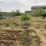 Продажа 3 комнатная Дача, пос. Курдаханы, Sea Breeze, Сабунчу район 2