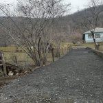 Satılır Torpaq Qəbələ 11