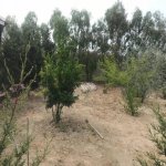 Satılır 4 otaqlı Həyət evi/villa, Şüvəlan, Xəzər rayonu 19