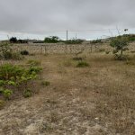 Satılır Torpaq, Kürdəxanı qəs., Sabunçu rayonu 5