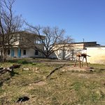 Satılır 6 otaqlı Bağ evi, Novxanı, Abşeron rayonu 4