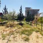 Kirayə (günlük) 6 otaqlı Bağ evi, Goradil, Abşeron rayonu 8
