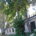 Satılır Torpaq Göyçay 16