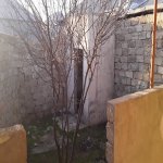 Satılır 2 otaqlı Həyət evi/villa, Binə qəs., Xəzər rayonu 6