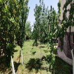 Kirayə (aylıq) 5 otaqlı Bağ evi, Fatmayi, Abşeron rayonu 4