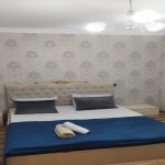 Kirayə (aylıq) 3 otaqlı Həyət evi/villa Qəbələ 13