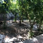 Satılır 3 otaqlı Həyət evi/villa, Qaraçuxur qəs., Suraxanı rayonu 17