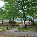 Kirayə (günlük) 2 otaqlı Həyət evi/villa Qəbələ 21