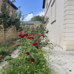 Satılır 6 otaqlı Həyət evi/villa Qəbələ 20