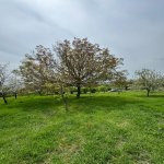 Satılır Torpaq İsmayıllı 5