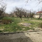 Satılır Torpaq, Saray, Abşeron rayonu 2