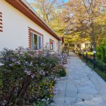 Kirayə (günlük) 1 otaqlı Həyət evi/villa Qusar 13