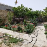 Продажа 2 комнат Дома/Виллы, Гобу, Абшерон район 17