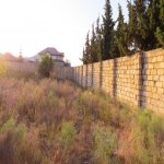 Satılır Torpaq, Novxanı, Abşeron rayonu 2