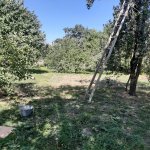 Satılır Torpaq İsmayıllı 6