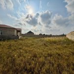 Продажа Участок, пос. Нардаран, Сабунчу район 5