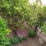 Продажа Участок, Мехдиабад, Абшерон район 6