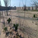 Satılır Torpaq, Nardaran qəs., Sabunçu rayonu 9
