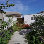 Kirayə (aylıq) 3 otaqlı Həyət evi/villa Sumqayıt 1