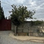 Satılır Torpaq, Novxanı, Abşeron rayonu 3
