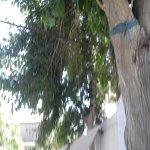 Satılır 6 otaqlı Həyət evi/villa, Həzi Aslanov metrosu, H.Aslanov qəs., Xətai rayonu 16