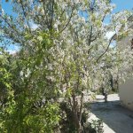 Satılır 3 otaqlı Bağ evi, Buzovna, Xəzər rayonu 17