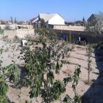 Satılır 4 otaqlı Bağ evi, Novxanı, Abşeron rayonu 4