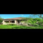 Satılır Torpaq Qəbələ 16