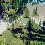 Kirayə (günlük) 5 otaqlı Bağ evi, Novxanı, Abşeron rayonu 8