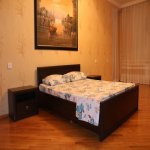 Kirayə (günlük) 4 otaqlı Yeni Tikili, 28 May metrosu, ABŞ səfirliyi, Nəsimi rayonu 10