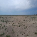 Satılır Torpaq, Qala, Xəzər rayonu 2