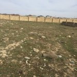 Satılır Torpaq, Saray, Abşeron rayonu 4